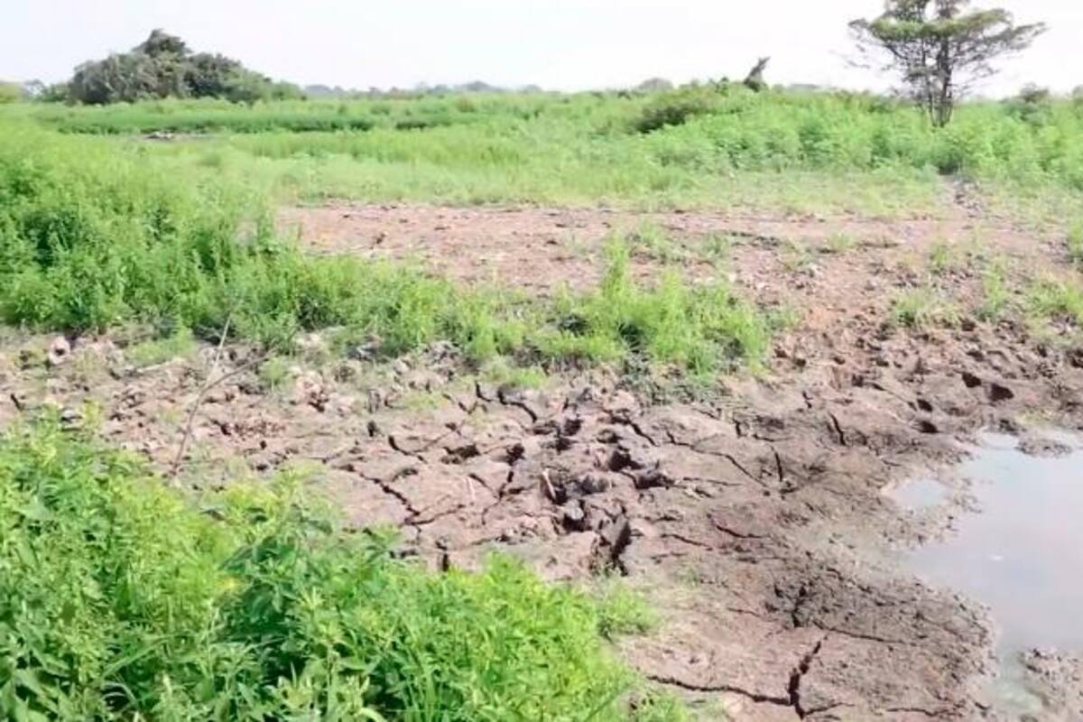 Archivo / VANGUARDIA