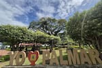 Palmar, el destino de Santander con la ceiba más ‘atractiva’