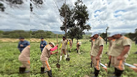 Así es como la Cárcel de Palogordo prepara una granja integral para resocializar a 200 internos