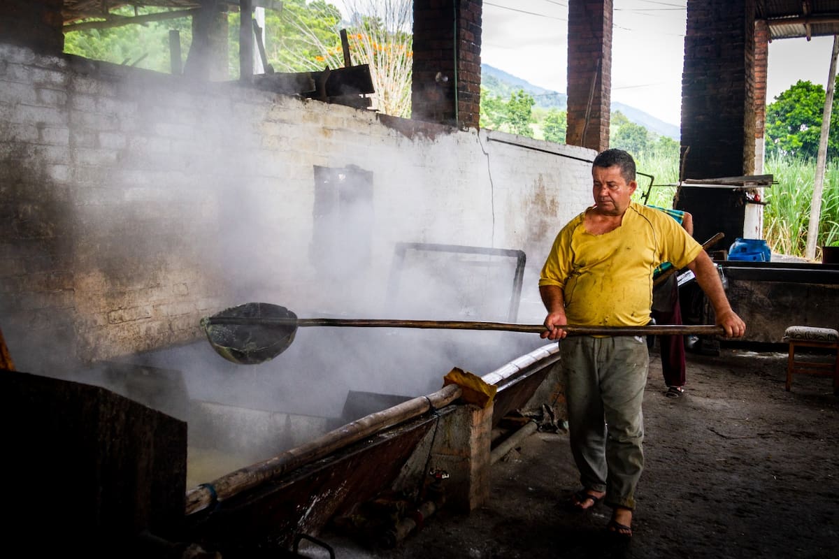 El kilogramo de panela alcanzó precios de $5.200 en los centros de acopio de la Hoya del río Suárez | Foto Marco Valencia / VANGUARDIA