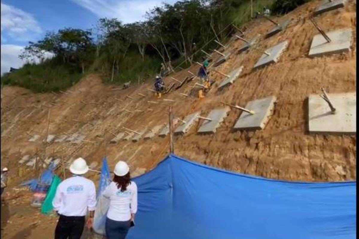 Suministrada/Vanguardia