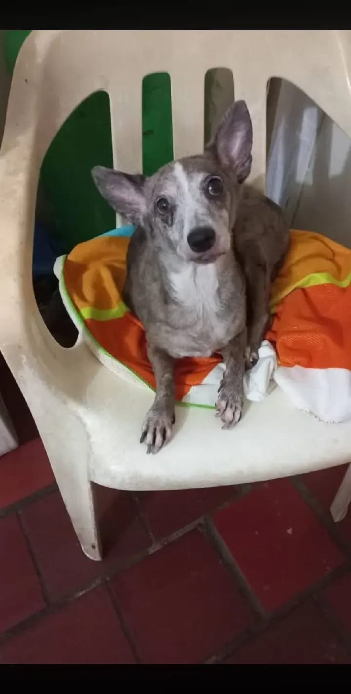 Luz Mary Villas continúa buscando a su compañera de vida, desaparecida hace un mes en el barrio Café Madrid. Cualquier información puede ayudar a reunirlas.