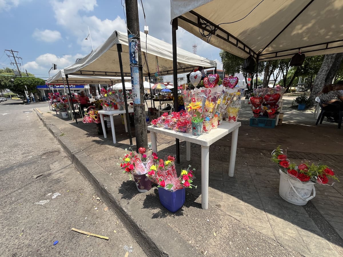 Emprendedores y vendedores informales comercializan flores, artesanías y detalles personalizados en el Parque A la Vida, en medio de la celebración del Día de las Madres.
Suministrada/Vanguardia