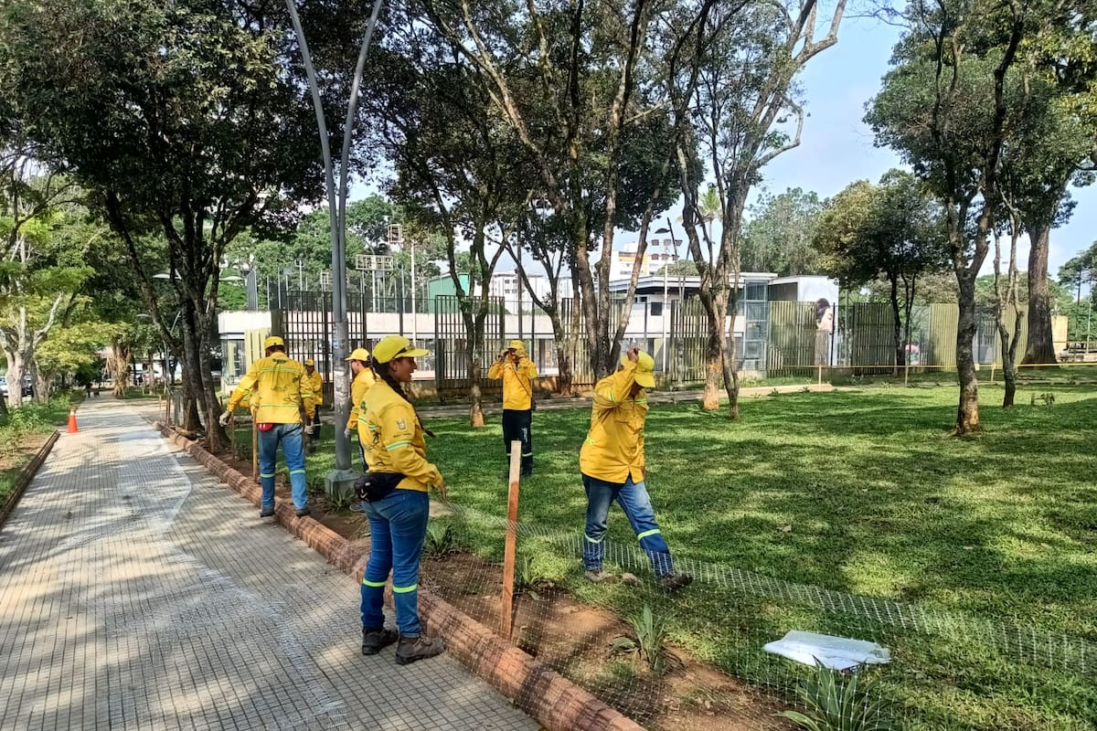 Recuperan zonas verdes del parque de Los Niños en Bucaramanga