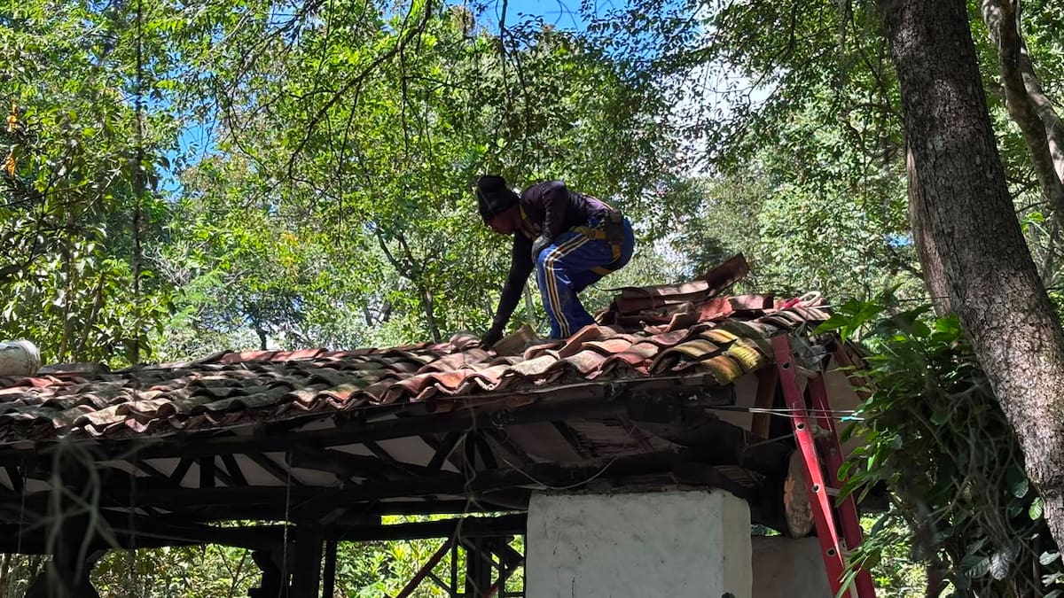 La reparación de las cubiertas y otros trabajos fueron contratados por un valor de $62 millones.