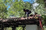 El Gallineral empieza a cambiar: puentes en restauración y un jardín para las mariposas
