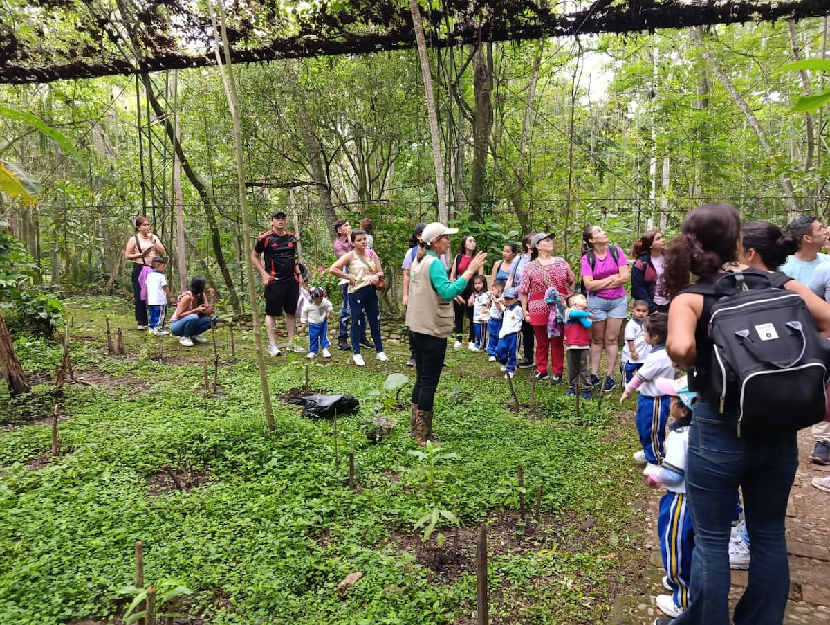 Ecohumus y el Instituto de Cultura y Tursmo de San Gil adelantan esfuerzos para darle vida al mariposario.