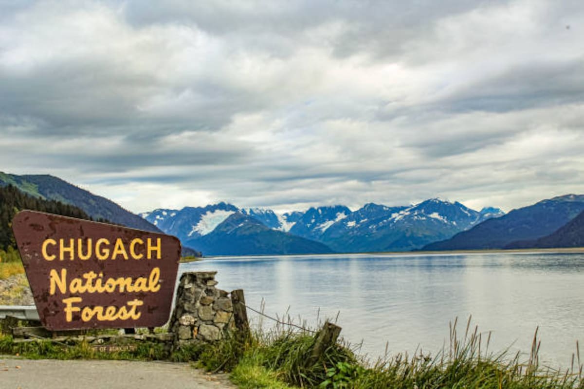 Sign that marks Chugach National Forest in front of water and a mountain range