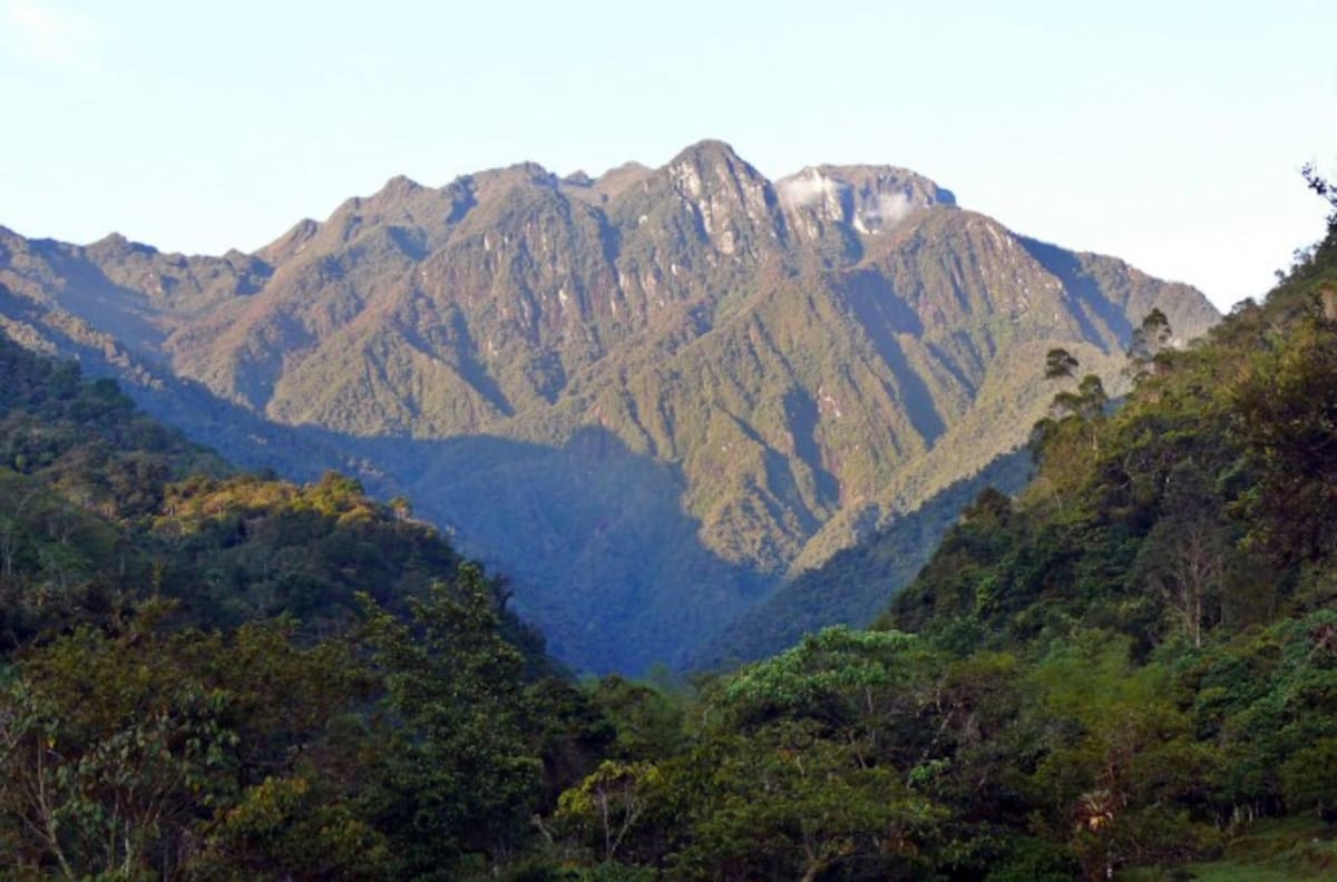 Foto: Parques Naturales