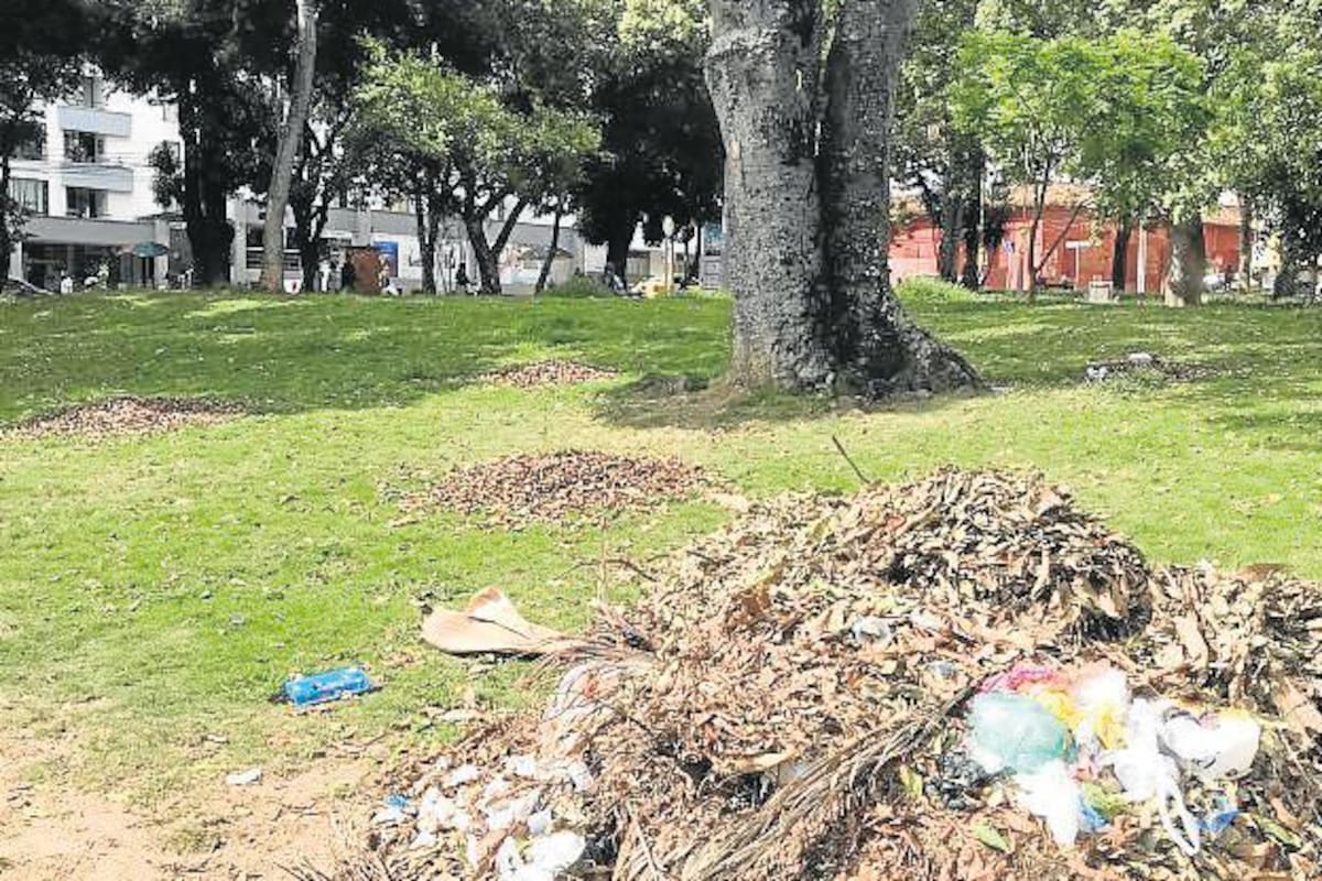 El desaseo es evidente en el Parque Bolívar: arrumes de basura se detectan por todos lados. (Foto: Jaime Del Río Quiroga / VANGUARDIA)