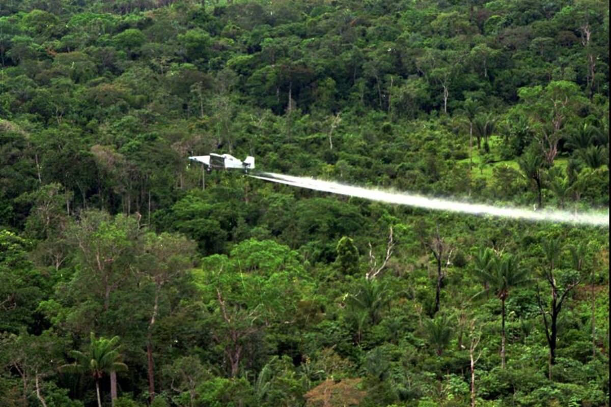 El orden público no puede estar por encima del bienestar del medio ambiente, pues existiría un desequilibrio grave e irreversible, afirma el Consejo de Estado en su fallo. (Foto: Archivo / VANGUARDIA LIBERAl)
