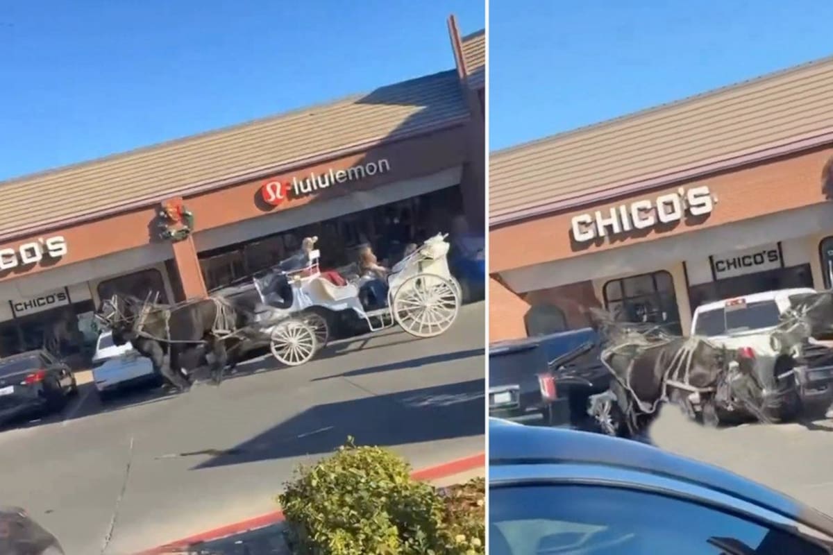 Una mujer en el estado de Texas salió disparada de un carruaje durante un paseo, luego de que uno de los dos caballos chocara contra un coche estacionado y saliera al galope desbocado.