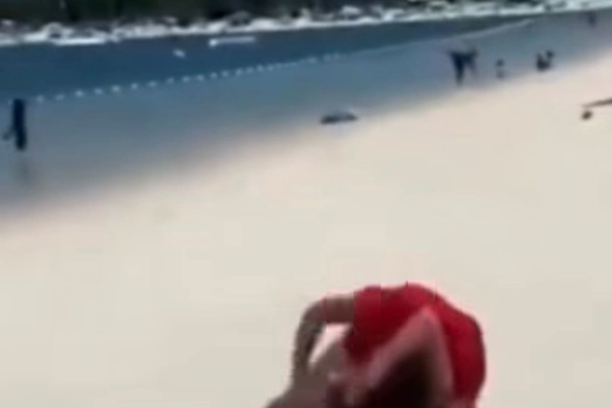Ella solo quería una bebida refrescante, pero la mesera tenía otros planes. La reacción de todos en la playa lo dice todo.