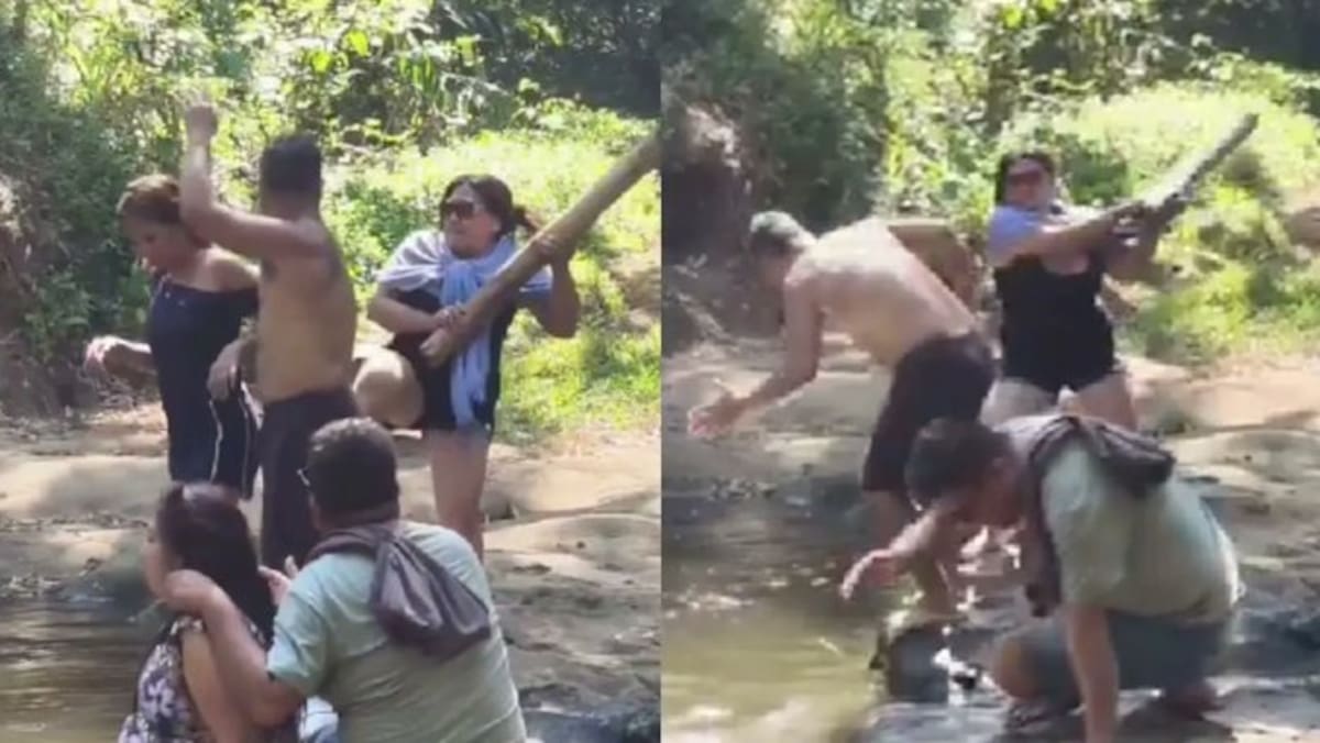 Las imágenes de la pelea se difundieron en redes sociales y generaron opiniones divididas entre los internautas.