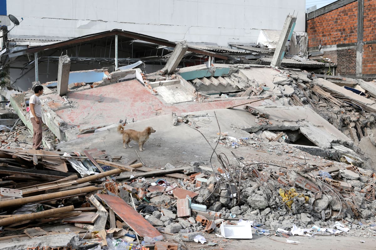 AME9053. PEREIRA (COLOMBIA), 14/08/2026.- Una persona observa este viernes una edificación destruida por el terremoto de magnitud 7,4 en Pereira (Colombia). Cinco días después del terremoto que sacudió a Colombia, y con cada vez menos esperanzas de encontrar sobrevivientes entre los edificios derrumbados, Pereira intensifica la remoción de escombros para comenzar a reconstruirse tras la tragedia. EFE/ Carlos Ortega