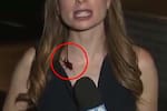 Una cucaracha altera la transmisión en vivo: la sorprendente reacción de la periodista