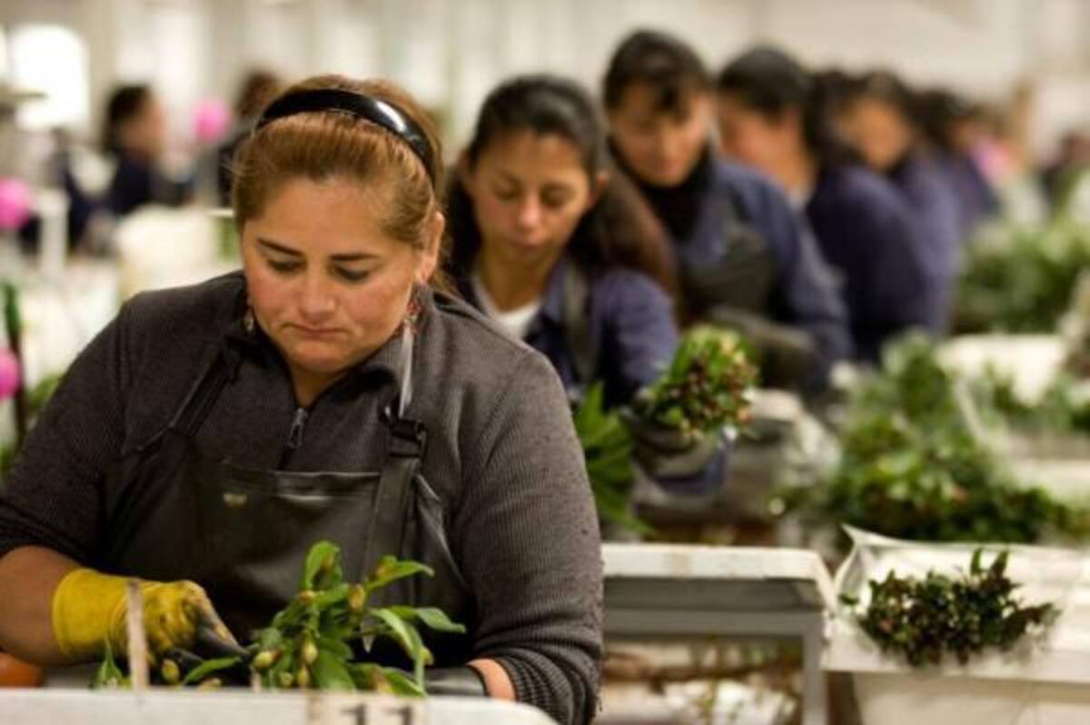 Los nuevos permisos laborales que hay en Colombia (Archivo / VANGUARDIA)