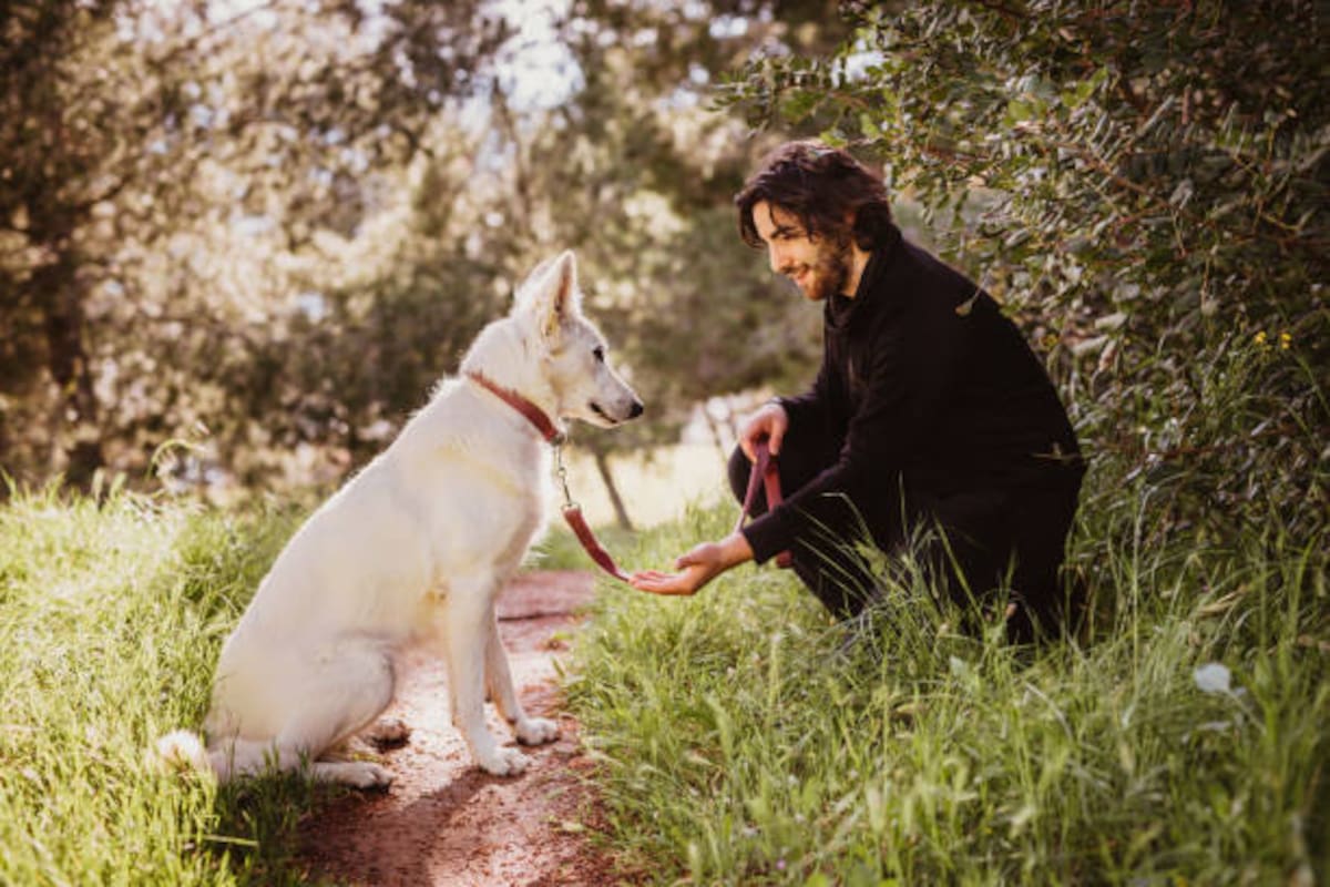Algunos perros pueden aprender palabras escuchando conversaciones humanas.