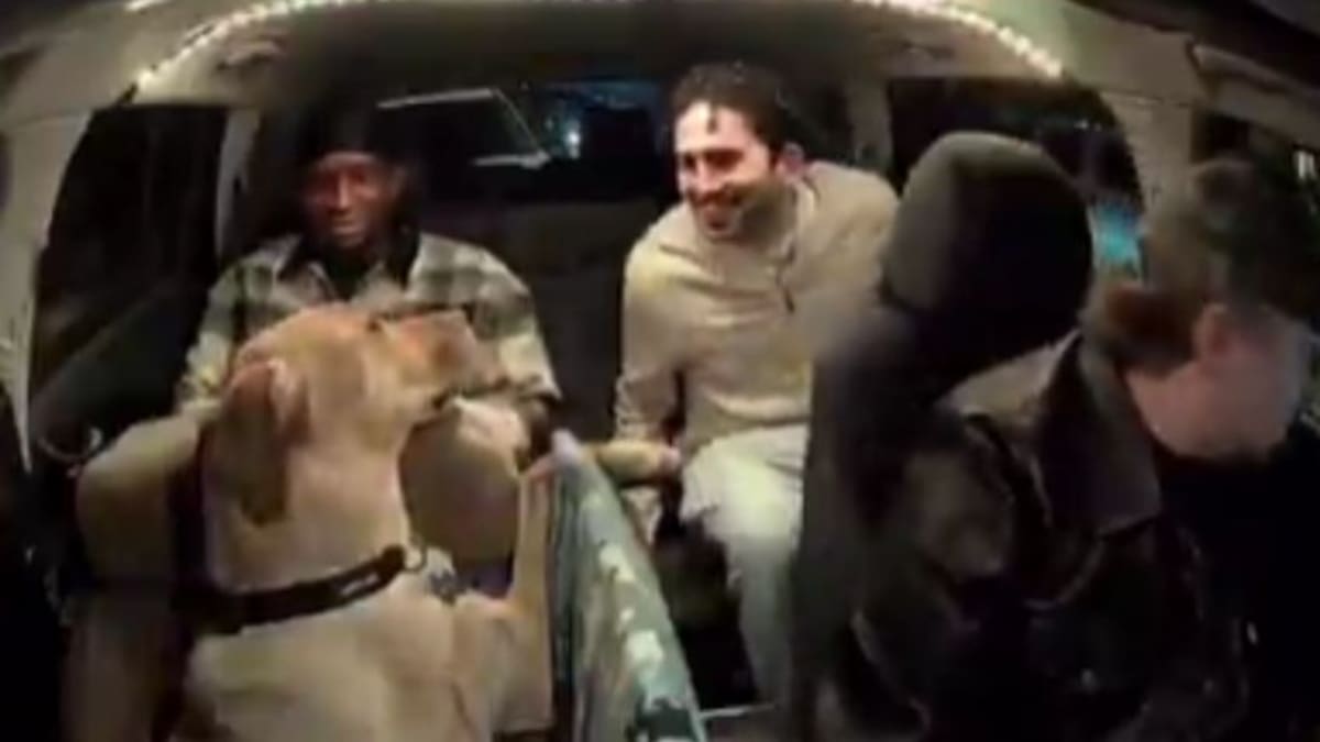Un copiloto muy especial ha hecho las delicias de los pasajeros de Uber en Colarado: se trata del perro Bowie.