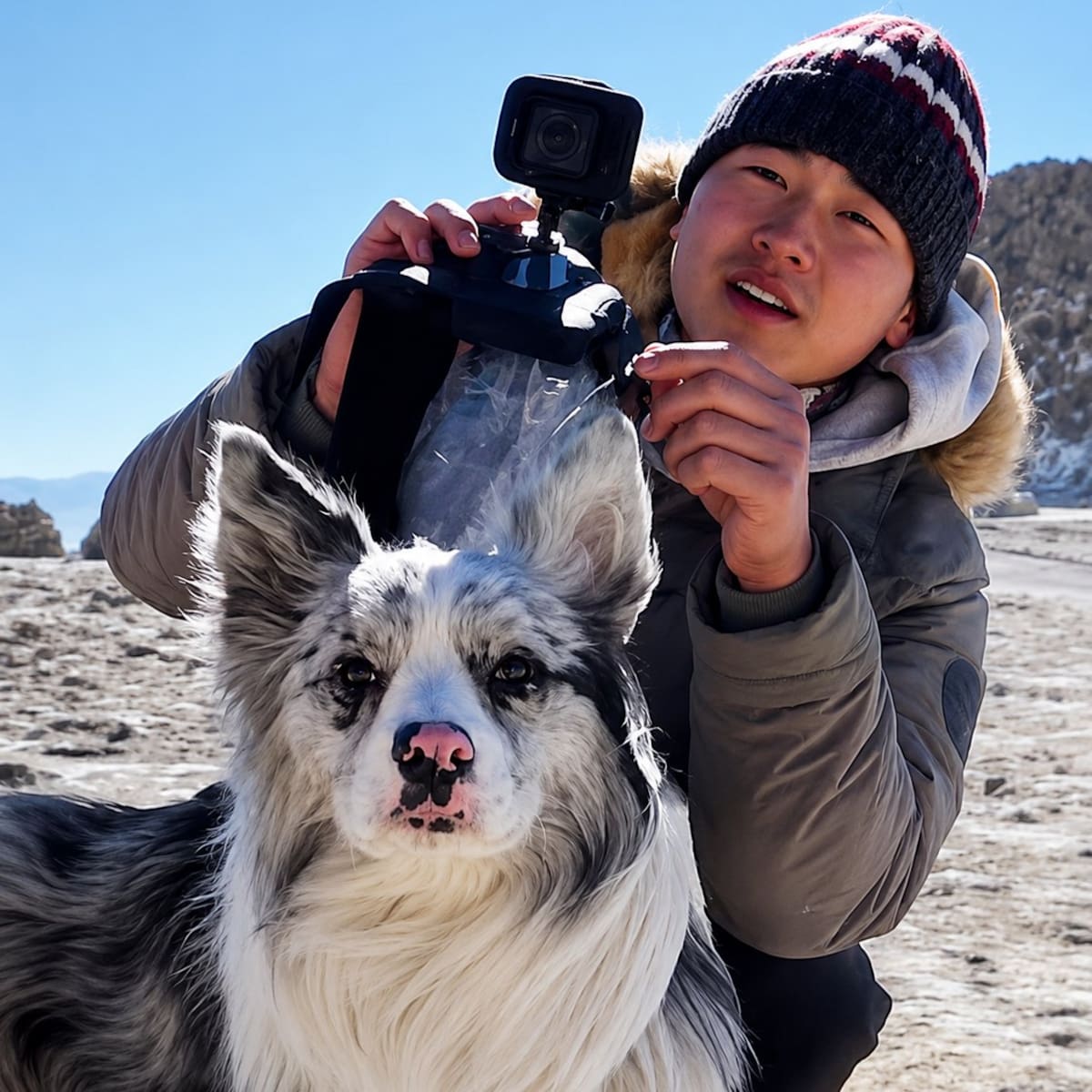 Un perro Border Collie con 1,5 millones de seguidores fue robado, vendido a un restaurante y luego comido. El dueño del perro documentaba sus viajes con su mascota.