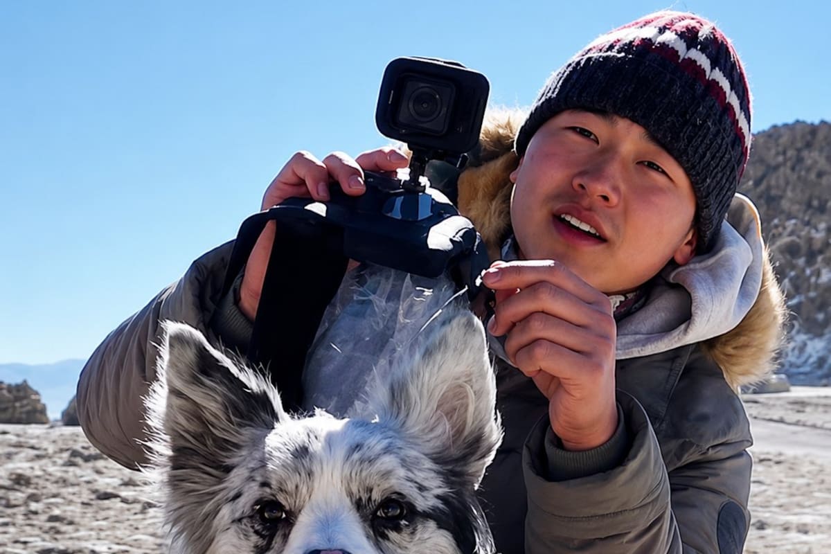 Un perro Border Collie con 1,5 millones de seguidores fue robado, vendido a un restaurante y luego comido. El dueño del perro documentaba sus viajes con su mascota.