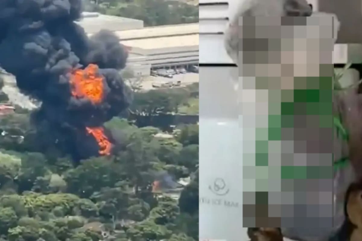 El hallazgo ocurrió después de que los organismos de emergencia terminaran las labores para controlar el incendio registrado el lunes 24 de agosto en la vereda San Diego.