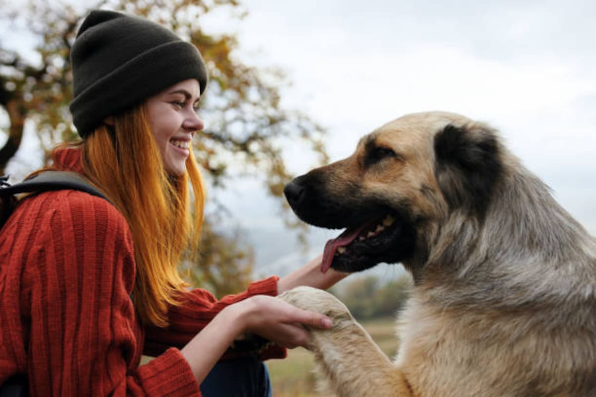 ¿Tu perro te escucha aunque no le hables? Un estudio en Science confirma que algunos perros aprenden palabras solo oyendo conversaciones humanas, como los bebés.
