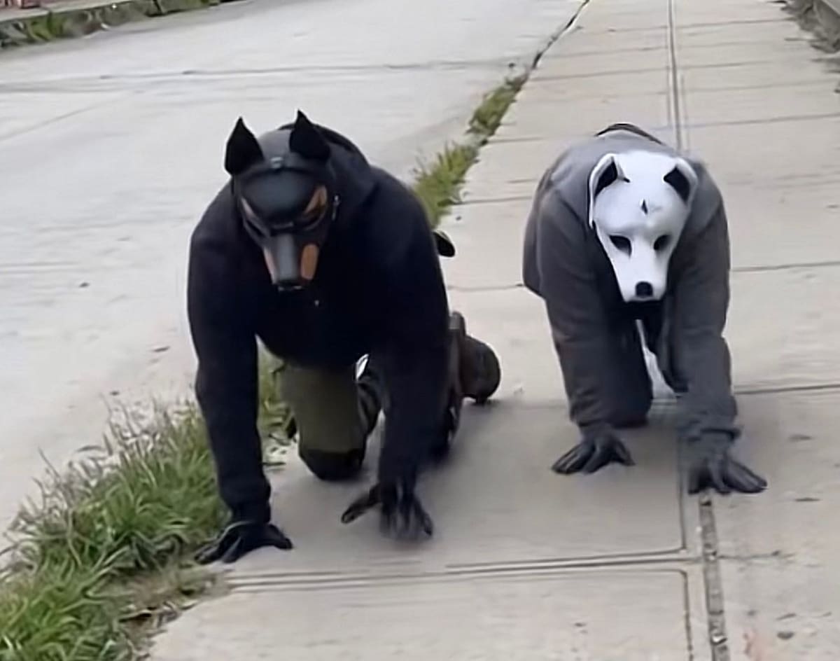 La tendencia therian crece en TikTok e Instagram y abre conversación sobre identidad juvenil y el impacto de las redes sociales.
Foto tomada de: Pantallazo de video de TikTok