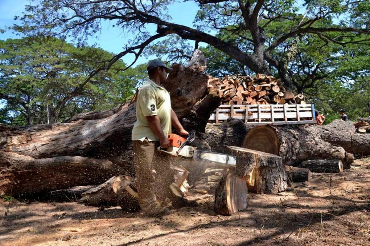 Para los expertos, las personas más vulnerables sentirán con mayor rigor los efectos del cambio climático (Foto: Archivo / VANGUARDIA LIBERAL)