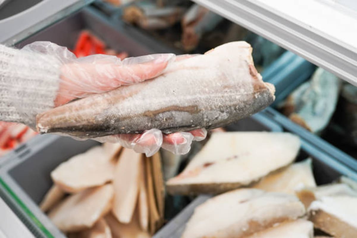 El peligro oculto de congelar o refrigerar el pescado en plástico. El CSIC advierte: Tus envases de siempre están contaminando tu comida en la nevera.