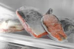 Alerta por aditivos plásticos: el peligro oculto de guardar pescado en la nevera