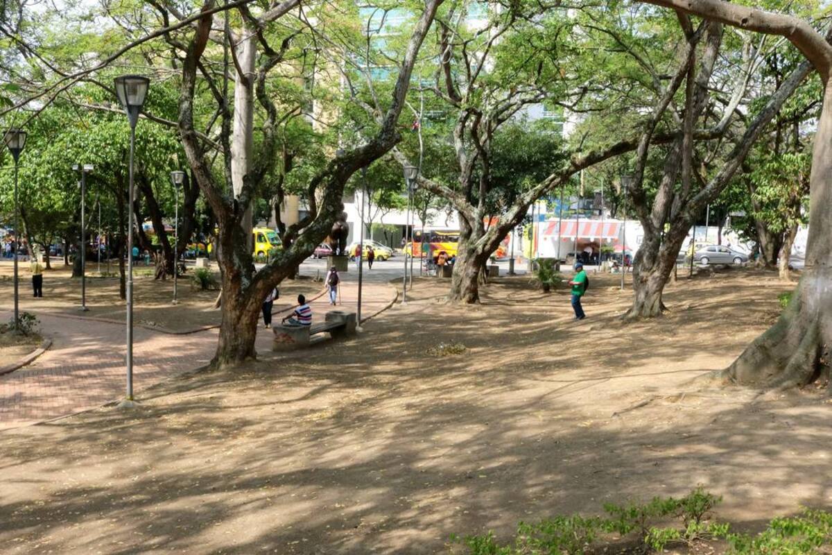 La ciudadanía asegura que la falta de prado es por culpa del Municipio, ya que no se siembra con especificaciones técnicas. (Foto: Fabián Hernández /VANGUARDIA LIBERAL)