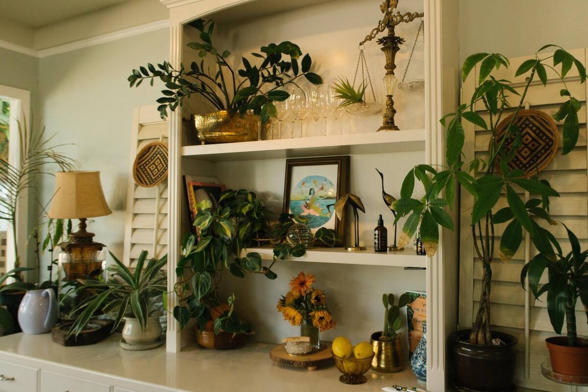 No dude en consultar con un jardinero experimentado o un empleado de un centro de jardinería. Esto le permitirá mejores resultados. Archivo / VANGUARDIA