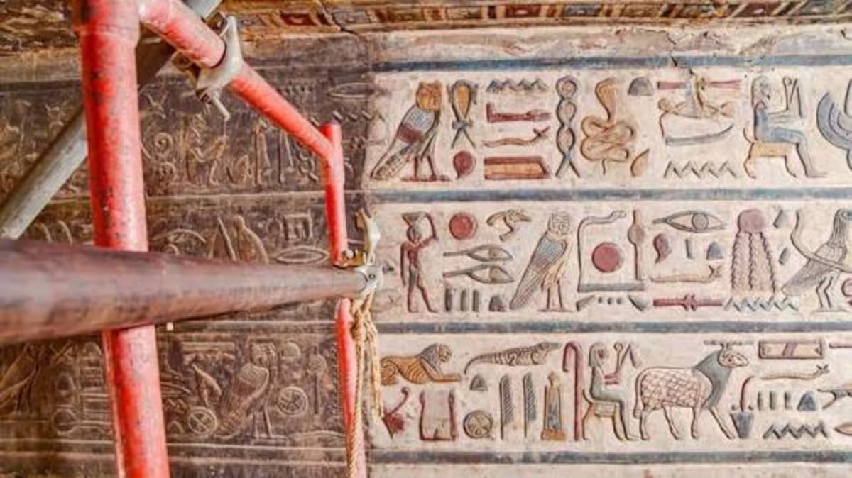 Investigadores identificaron los animales y plantas utilizados como aglutinantes y adhesivos en pinturas del antiguo Egipto.