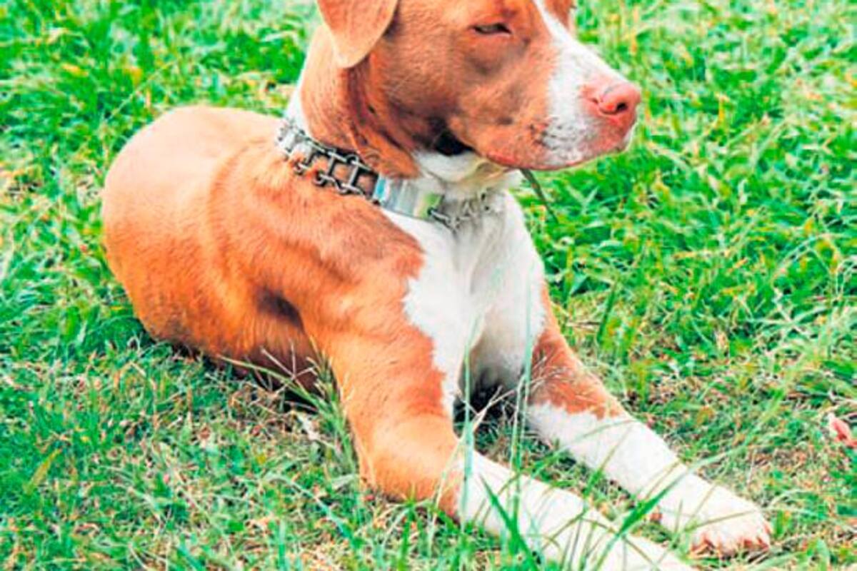 Tomada de Internet/Vanguardia