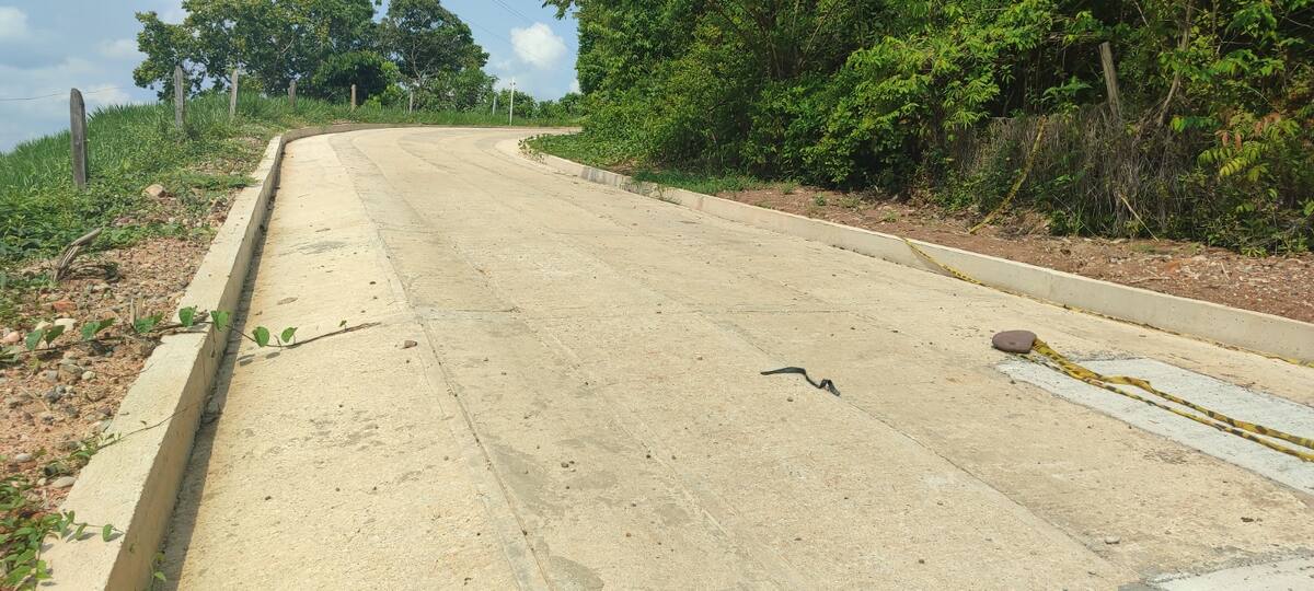 Culminó la construcción de 17 tramos de placa huella en la zona rural de San Vicente de Chucurí.
Suministrada/Vanguardia