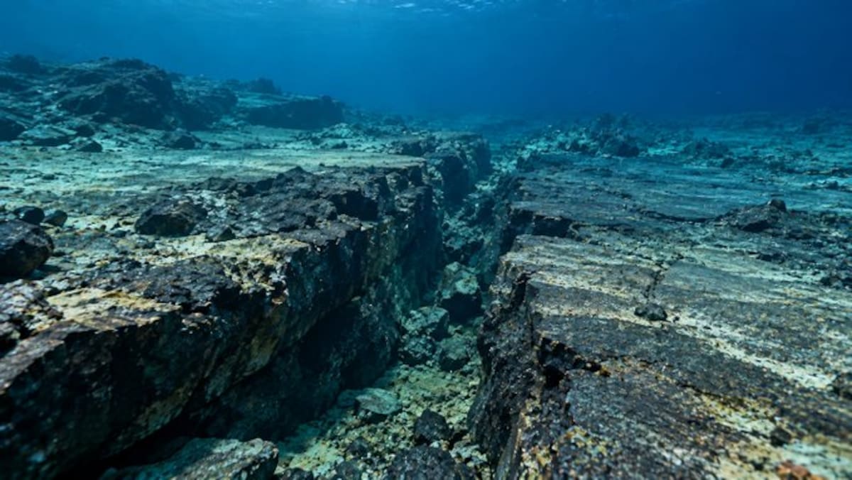 Imágenes sísmicas captaron por primera vez una zona de subducción oceánica en pleno proceso de desgarro activo.