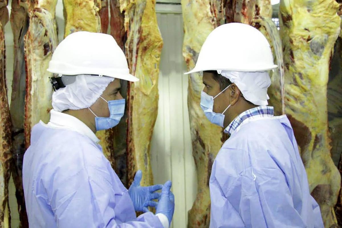 La planta se reabrió por dos días para establecer el proceso de sacrificio de los bovinos y tomar las muestras y mediciones necesarias. (Foto: Cortesía /VANGUARDIA LIBERAL)