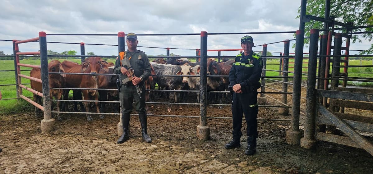 Disminución del 45% en el delito de abigeato.
Foto: cortesía.