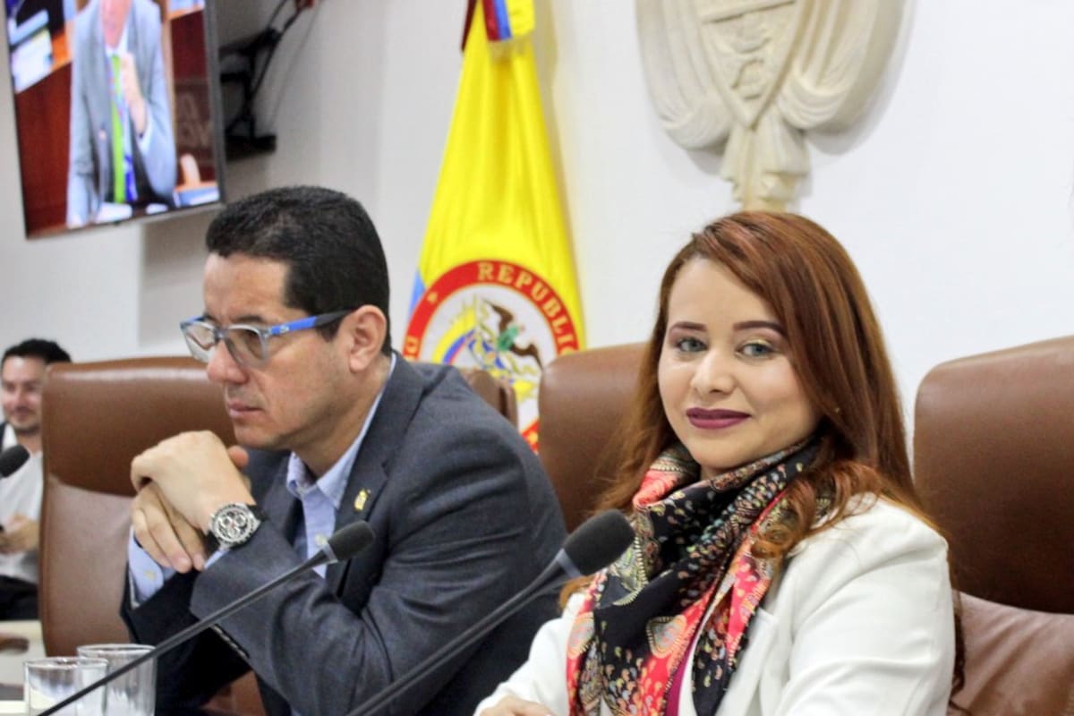 Mary Anne Perdomo, representante a la Cámara por Santander.