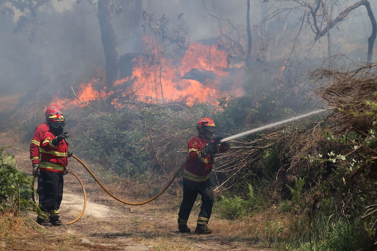 Bomberos trabajan para extinguir un incendio forestal que lleva activo desde la noche anterior en Vouzela, Portugal, el 2 de julio de 2026. A media mañana, más de 200 bomberos, apoyados por 45 vehículos y ocho aeronaves, trabajaban para contener el fuego, que se declaró en Vouzela, en el distrito de Viseu, según la Agencia de Protección Civil. EFE/EPA/PAULO NOVAIS
