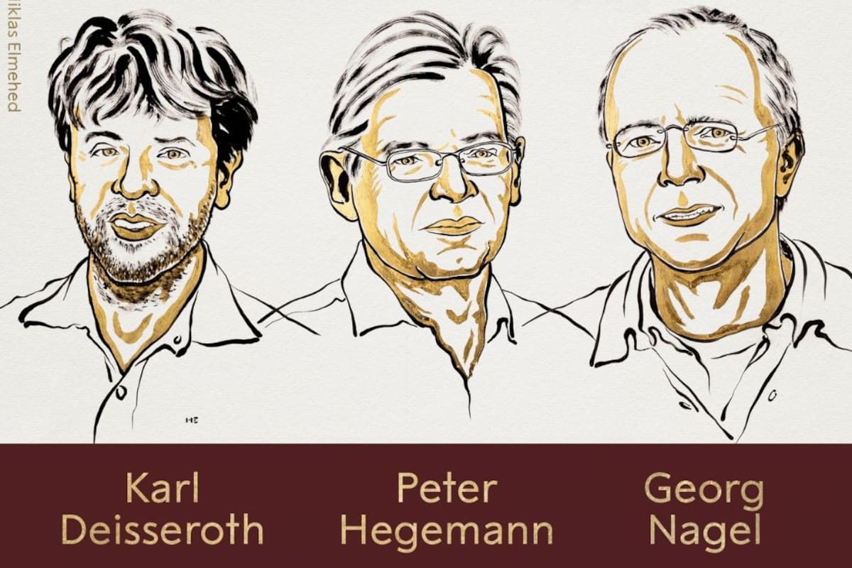 Fotografía tomada de X: @NobelPrize