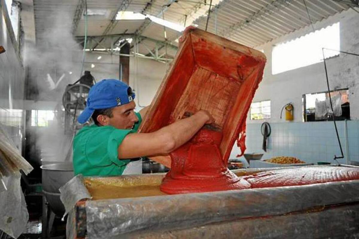La construcción de una planta procesadora para la elaboración del bocadillo, es uno de los proyectos priorizados. (Foto: Archivo/VANGUARDIA LIBERAL )