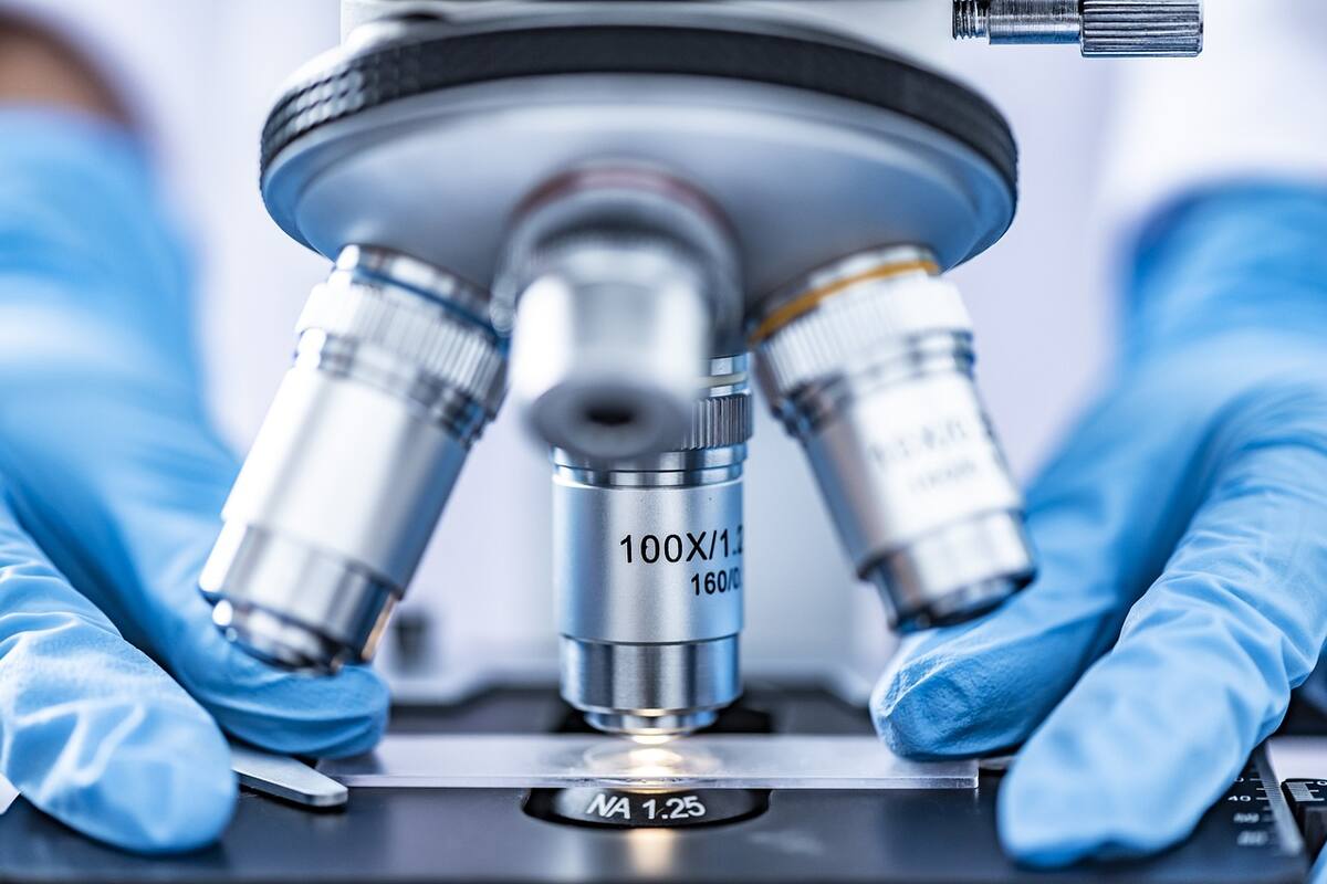 La prueba de ADN no puede ser empleada para disputar la paternidad o maternidad en casos de reproducción asistida.