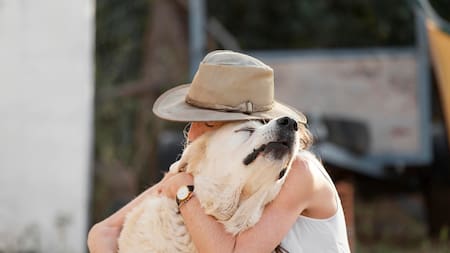 ¿Cómo las mascotas ayudan a construir rutinas estables y mejoran la salud emocional?