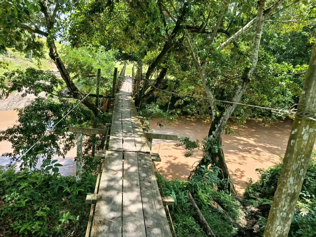 Niños arriesgan sus vidas al cruzar un puente de madera sobre la quebrada la Corcovada, en San Tropel, Cimitarra. La comunidad lleva años esperando una obra.
Suministrada/Vanguardia