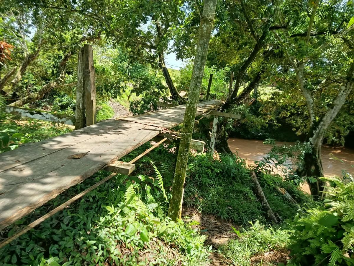 Niños arriesgan sus vidas al cruzar un puente de madera sobre la quebrada la Corcovada, en San Tropel, Cimitarra. La comunidad lleva años esperando una obra.
Suministrada/Vanguardia