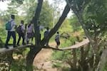 Niños arriesgan sus vidas para llegar a clases por un puente colgante en Cimitarra