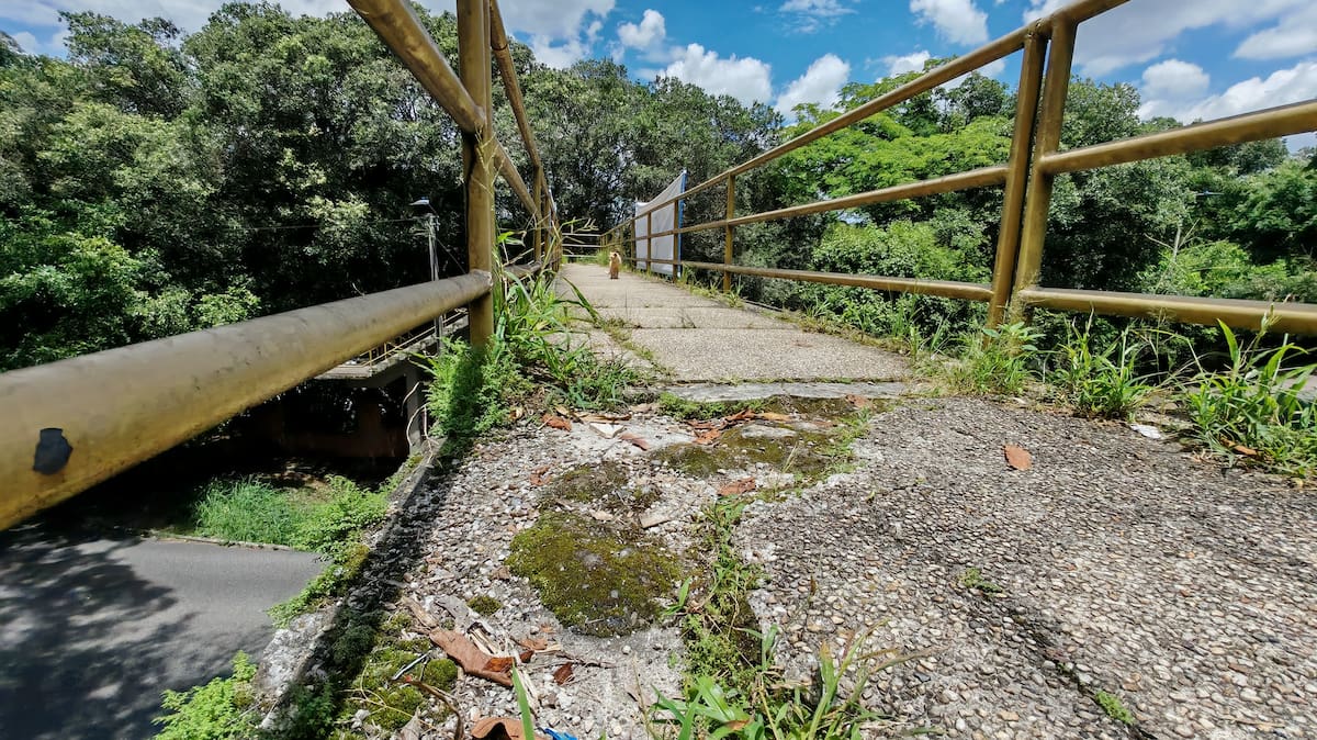 El lamentable estado de los puentes peatonales. (Foto: Marco Valencia / VANGUARDIA)
