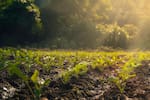 ¿Cómo saber si una finca es realmente agroecológica?